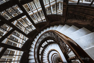 The Rookery Infinite Wisdom II