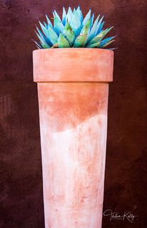 Southwestern Pot and Aloe