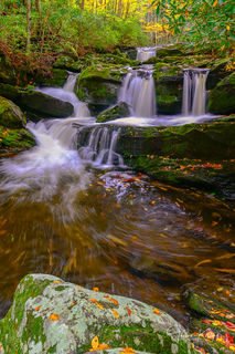 Swirling Autumn
