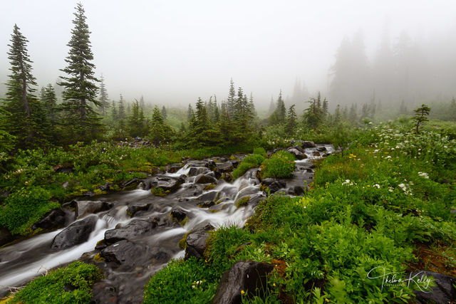 Swirling Mist and Creek print