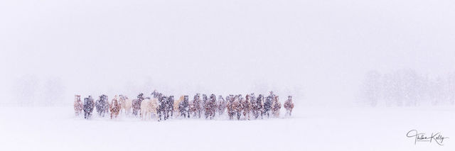 The Line-Up print