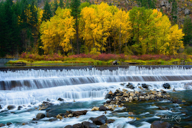 Weir In The World print