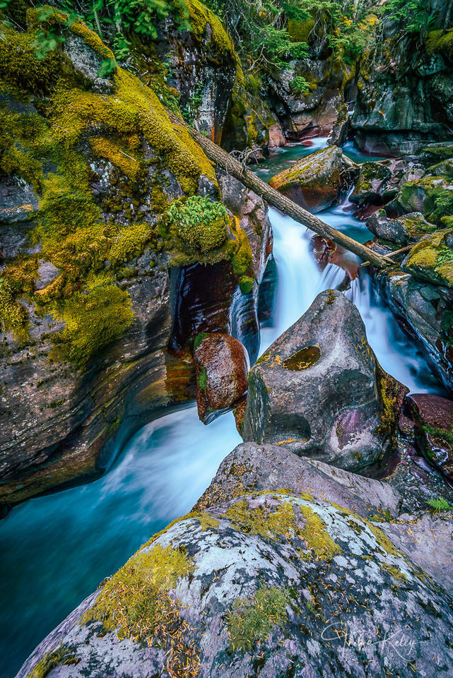 Avalanche Creek II print