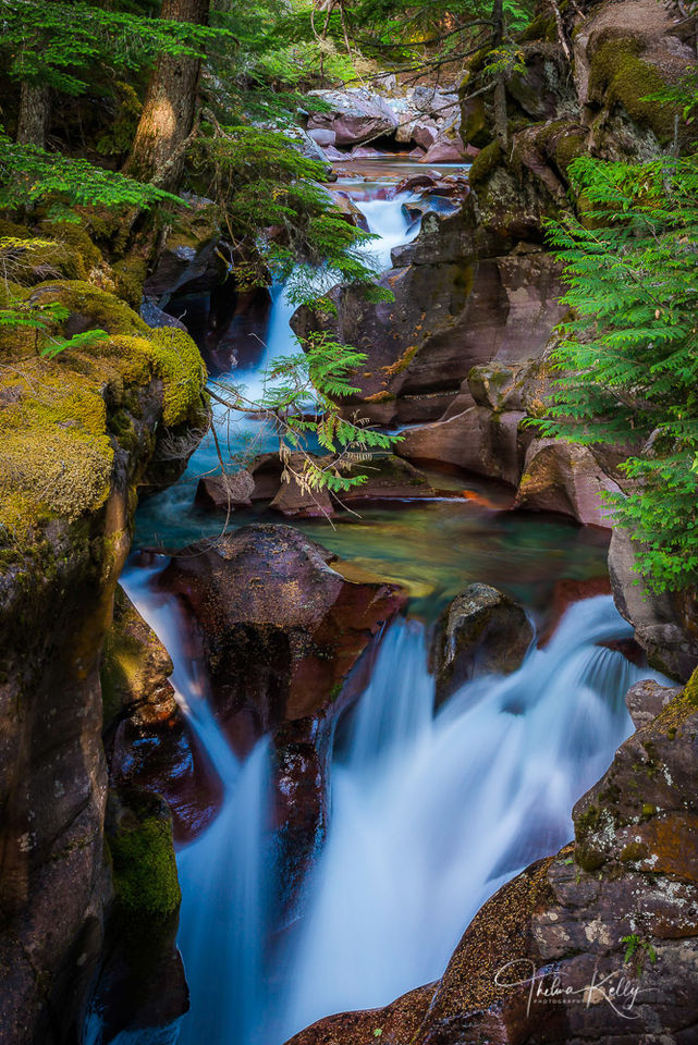 Avalanche Creek I print