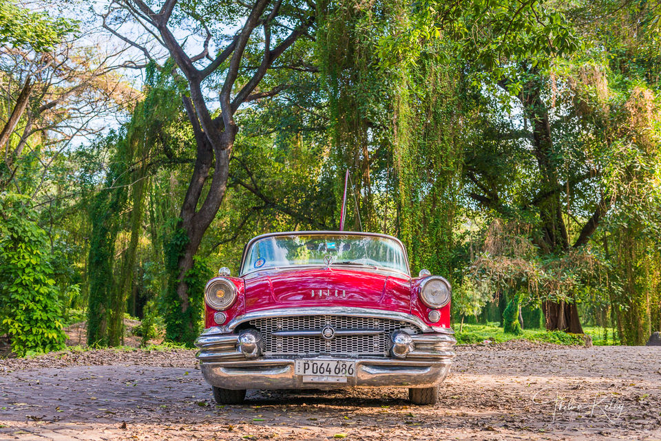 Buick In The Park print