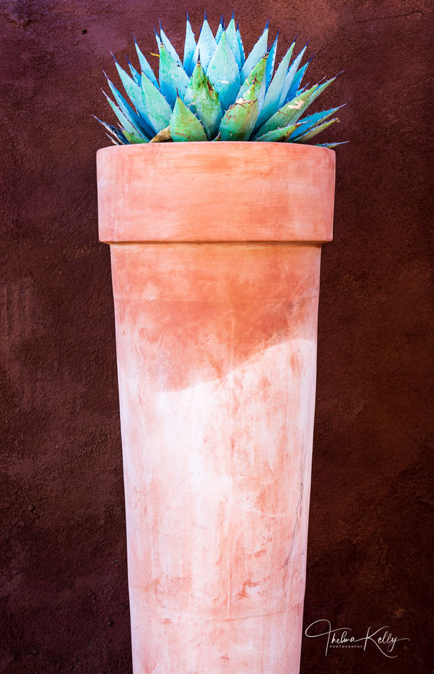 Southwestern Pot and Aloe print
