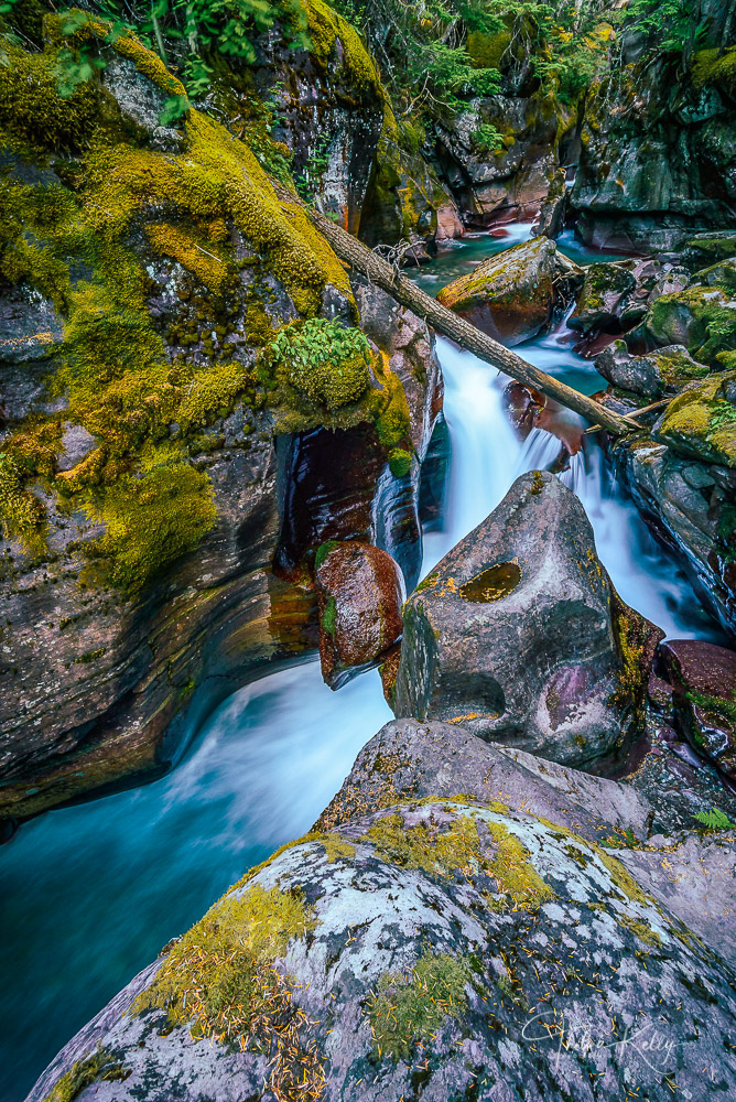 Avalanche Creek II A portion of Avalanche Creek in Glacier National Park
