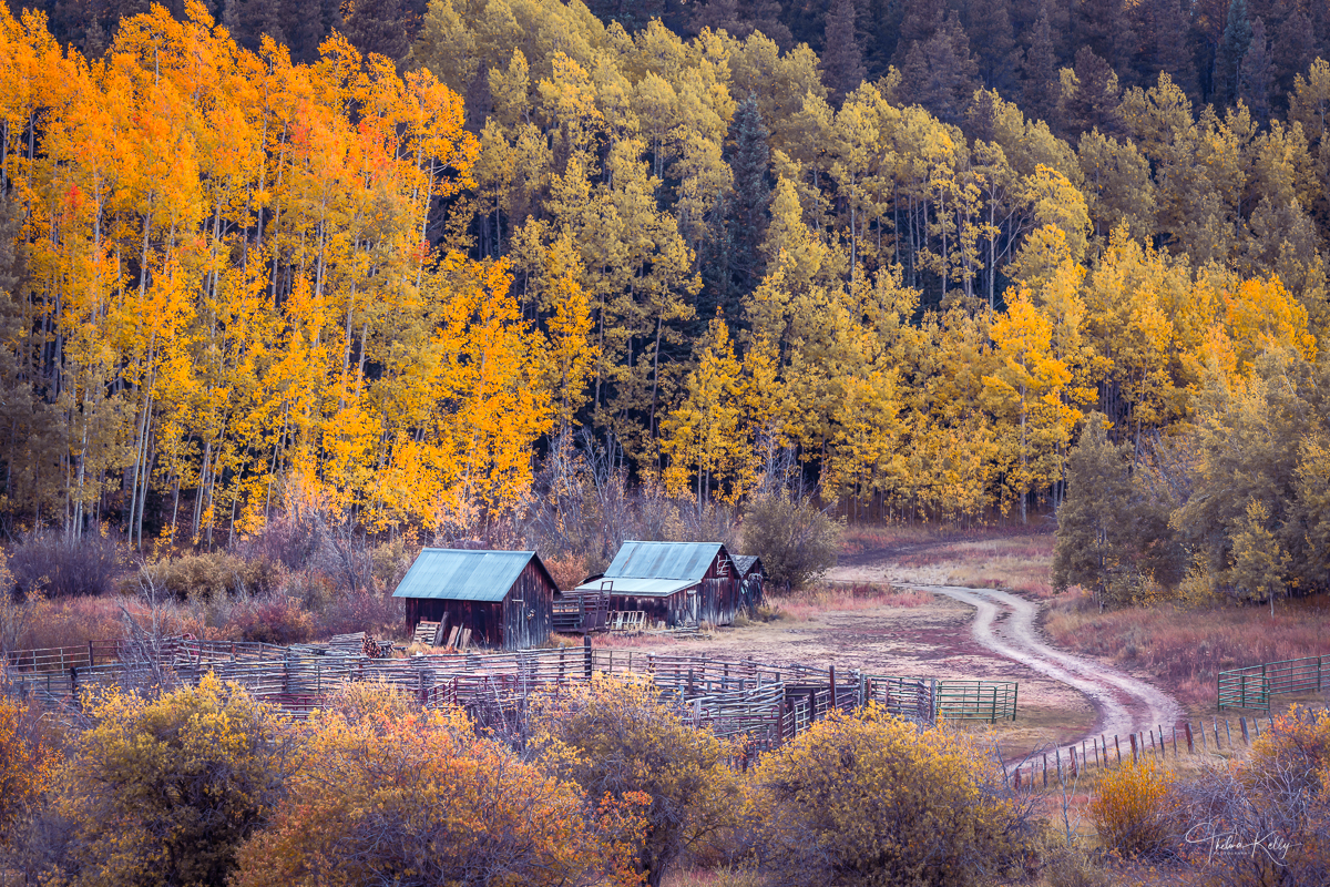 Cowboy Heaven A cowboy's dream ranch, I can imagine a western movie being filmed here, maybe with Clint Eastwood?!