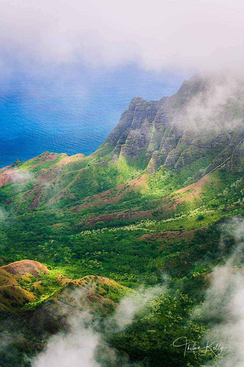 A bird's eye view of the Pacific Ocean from Waimea Canyon State Park