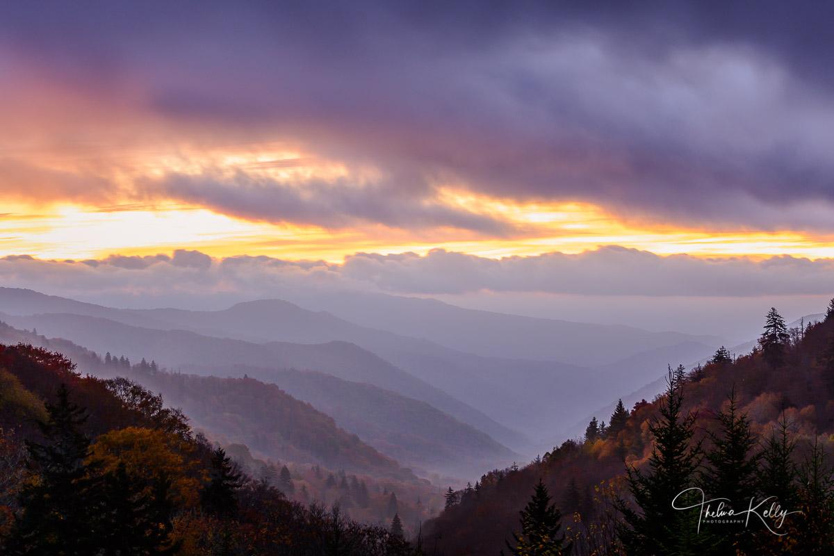 A gorgeous, misty Smoky Mountain sunrise