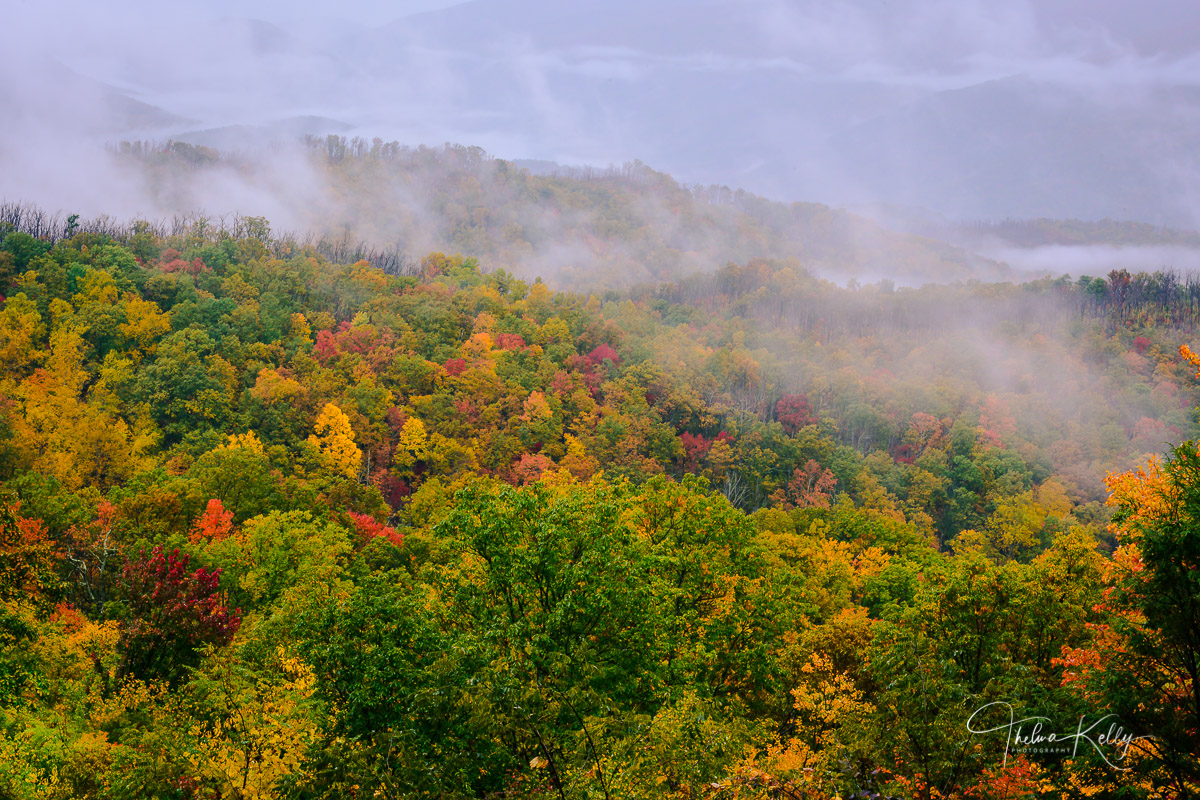 A typical fall day in the Smokies