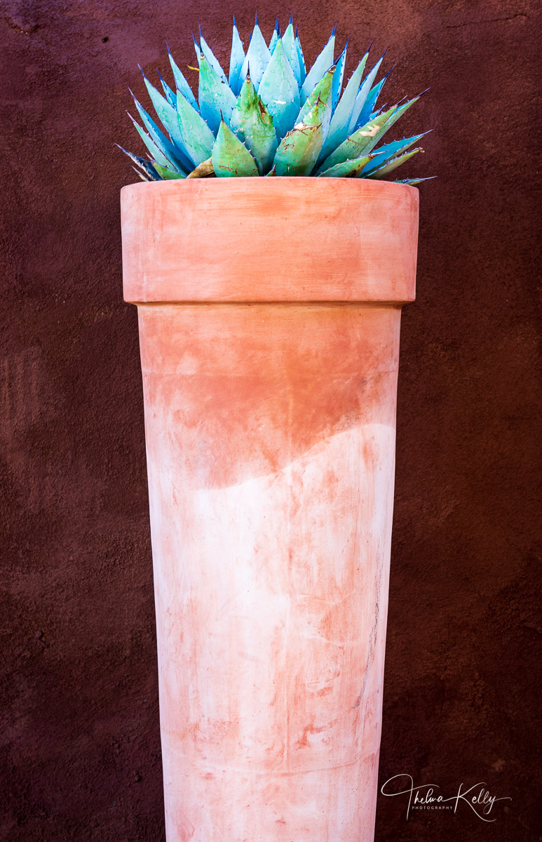 Southwestern Pot and Aloe A very tall New Mexican clay pot planted with aloe, a common plant in the area.