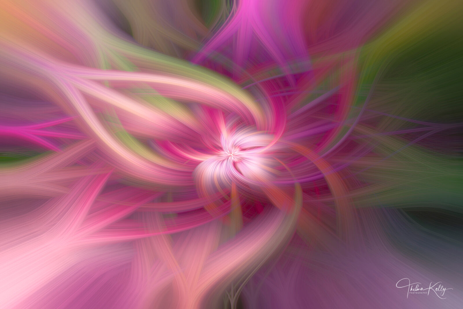 Spring has Sprung A digitally modified photo of a spring flower