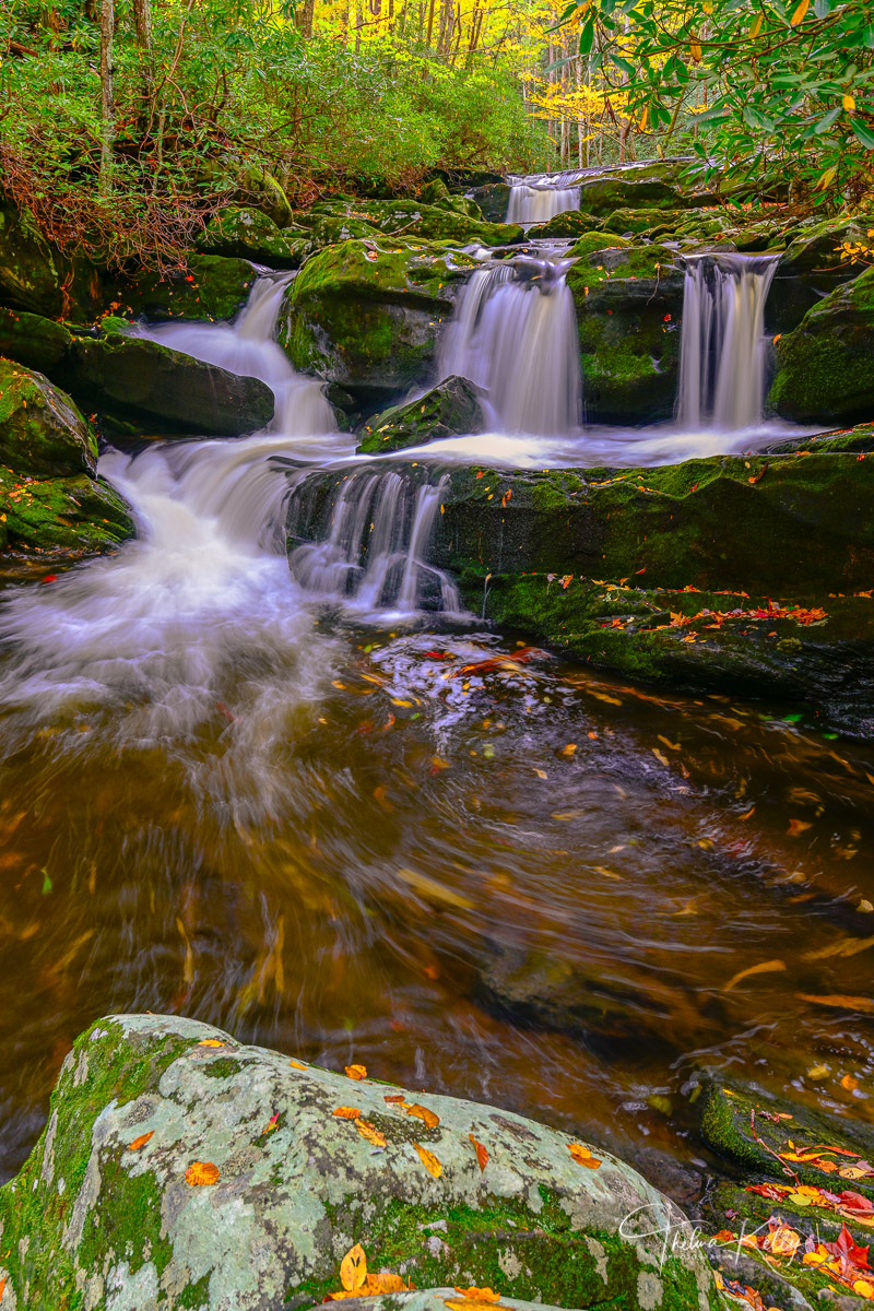 Swirling Autumn A long exposure shot emphasizes the the fallen leaves swirling in a pool of water