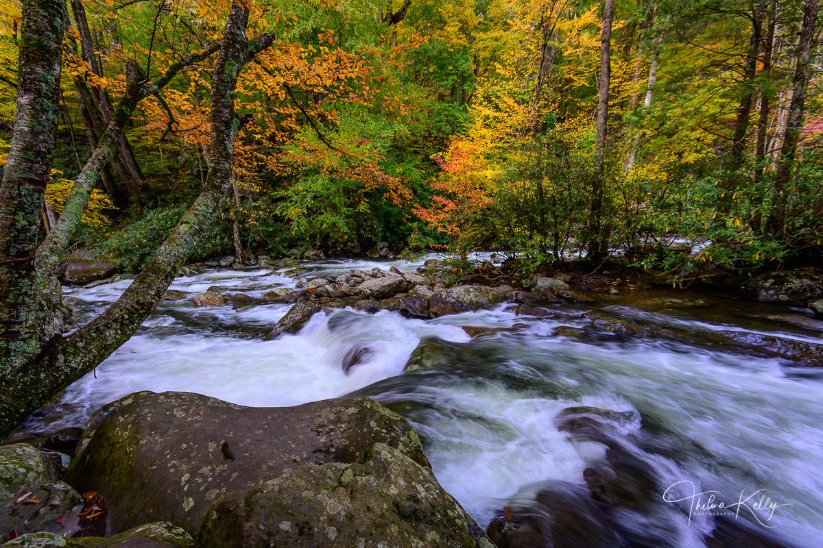 Take Me To The River I captured this image a few days after heavy storms in the area which caused a mighty surge in water level and flow