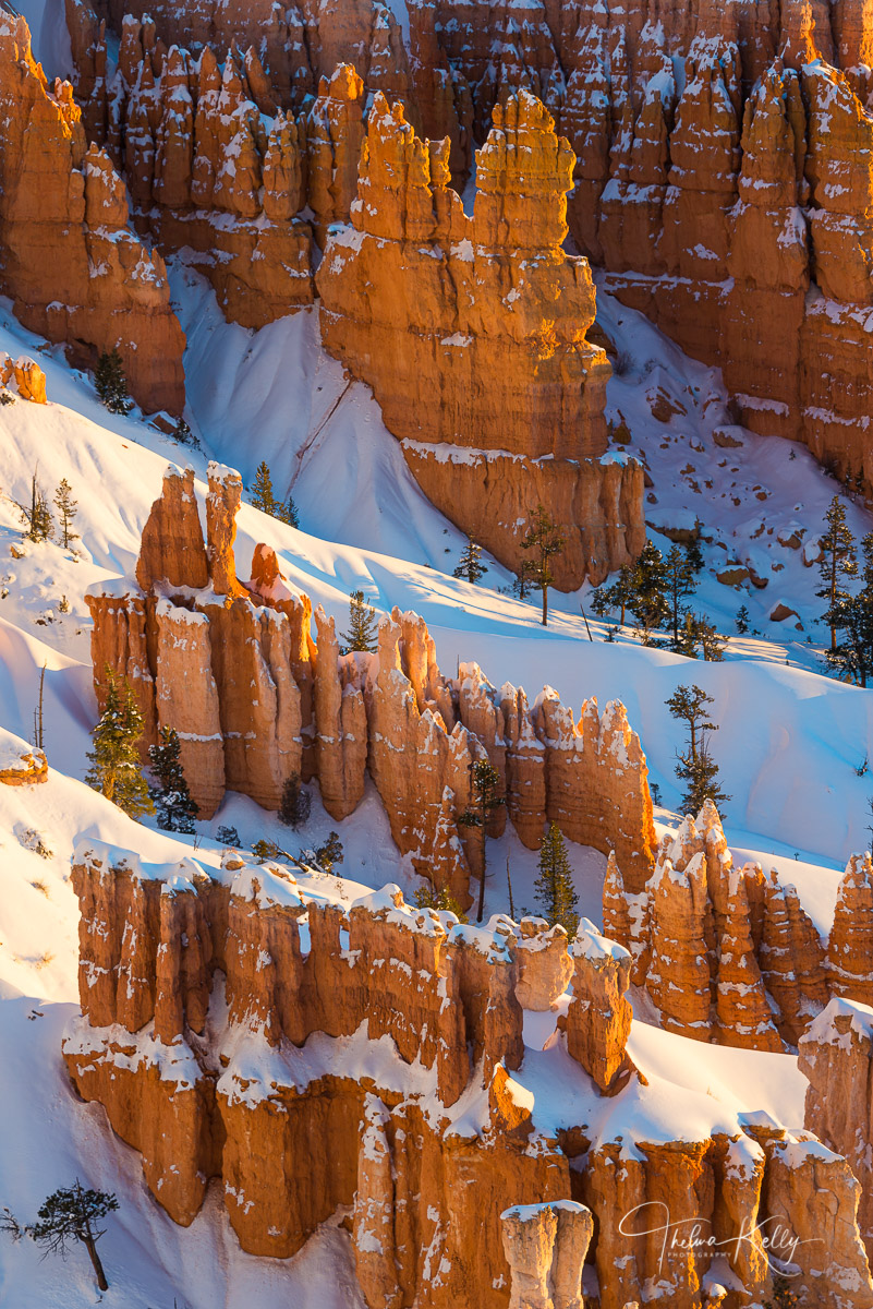 Icing On The Cake Winter scene at Bryce Canyon National Park, Utah